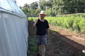 【老兵故事】邯郸市涉县退伍老兵——王怀玉：让火龙果在涉县开花结果图片