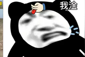 蚂蚁森林没有树？知道真相后我赶紧偷了波能量图片