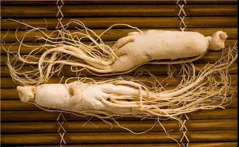 浜哄弬鐨勬湁鏁堟垚鍒嗭紝涓嶄粎浠呭彧鏄汉鍙傜殏鑻? onerror=