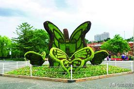 长春动植物公园“上新”啦！主要景观节点穿上了“新衣”图片