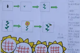 特色作业精益求精“双减”政策落地有声 | 曲江南湖小学语文学科特色作业系列展示图片