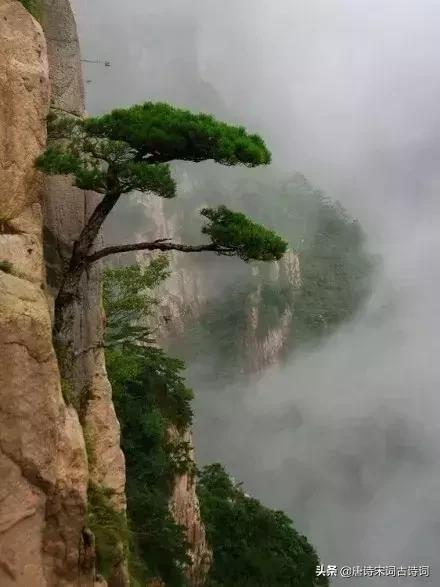 励志诗词：艰难困苦有时尽，人生没有过不去的坎
