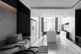 一人一猫住40㎡Loft，改造后变极简贵气大豪宅，还有逆天收纳空间图片