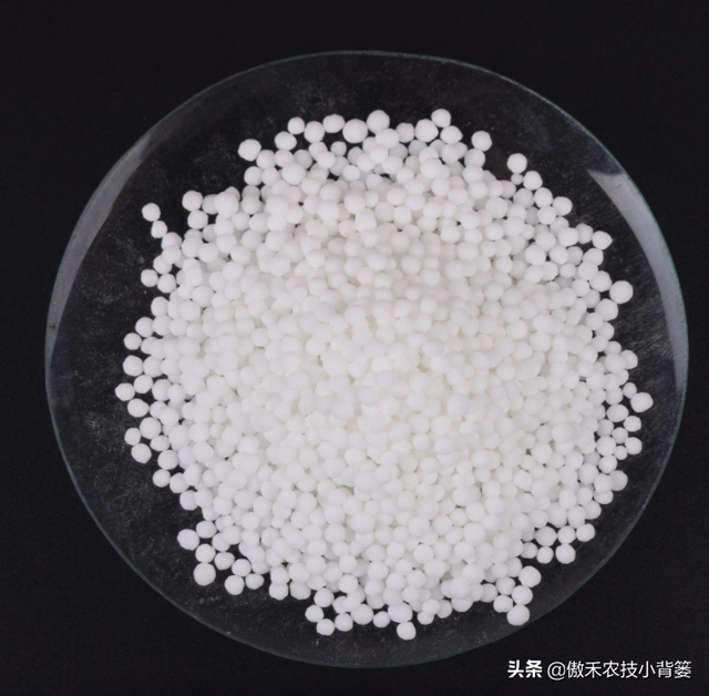 鍚屾牱鏄爱鑲ワ紝灏跨礌銆佺⒊閾点€佹隘鍖栭摰銆佺閰搁摰绛夊浣曟纭寫閫変笌浣跨敤锛? onerror=