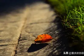 美文 | 爷爷的故事图片