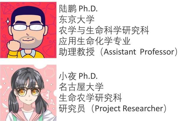 日本保健品“纳豆激酶”抗血栓？拜托想忽悠国人得先把名字起对