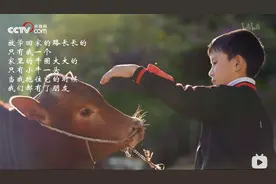 看了央视这部纪录片才发现，情绪引导的另一种可能图片