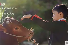 看了央视这部纪录片才发现，情绪引导的另一种可能图片