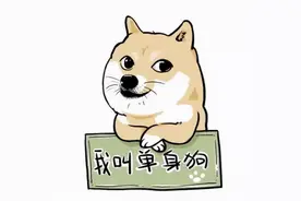 “女光棍”人数突破一亿大关，现在的社会都是怎么了？图片