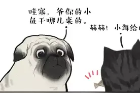 明明可以靠脸吃饭，却偏要要靠实力图片