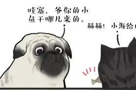 明明可以靠脸吃饭，却偏要要靠实力图片