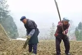 农村七十多岁的老人还在种地，是他们闲不住还是其儿女不孝呢？图片