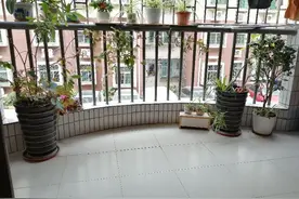 台湾地区的客家人图片