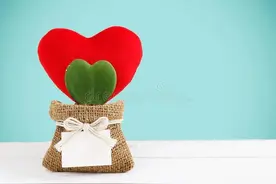 家有乖乖女（原创小小说）图片