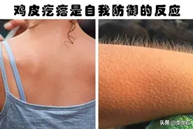 科学解释：我们身体会经历的6种身体反应的科学解释图片