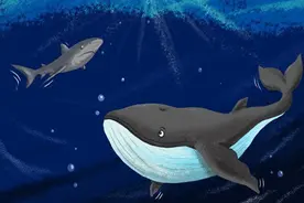 鱼是怎么在水里游泳的？小鱼鳍里的那些大智慧图片