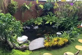 一个锦鲤池，美了整个院子，一个锦鲤梦，醉了整个人生！图片