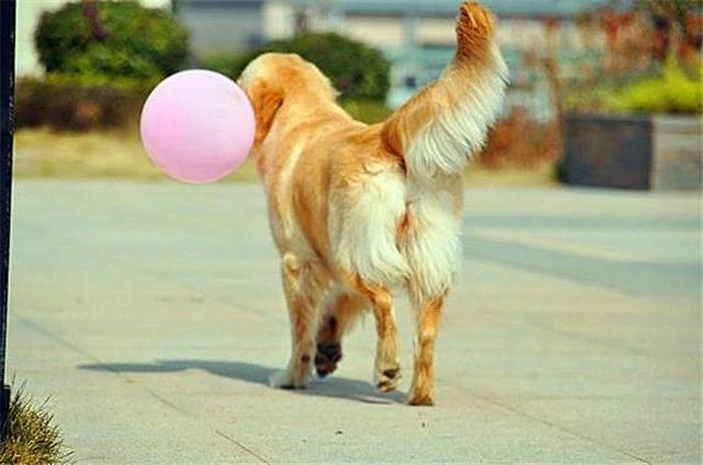 ҥëġůС𣿲ֻǶѺ