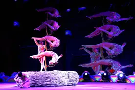 乐游临泉，观一场杂技好戏图片