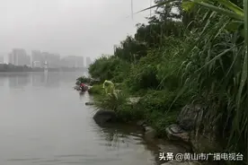 警告！责令改正！罚款！新安江不是“洗衣池”图片