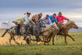内蒙一匹10岁的马，被主人卖后3年又换3主人，还独行几百里跑回家图片