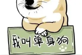 我国单身人群高达2亿，深度剖析单身的根本原因图片