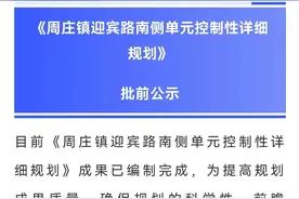 定了！兴化这些地方迎来新规划图片