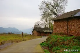 龙凤秋意浓|李三清图片