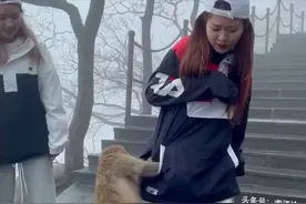 女子上花果山被猴掏三次兜儿，无奈告饶：哥，真的什么都没有了图片