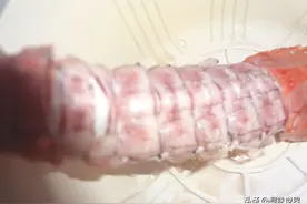 这种虾吃了这么多，现在才知道它是假虾，但比龙虾好吃图片