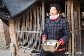农村大婶用小麦花椒籽喂20只鸡，鸡蛋多少钱都不卖，看是因为啥图片