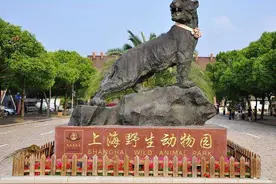当代动物饲养员图鉴：工资不足5000元，仅七成有社保，周末经常加班图片