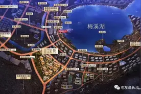 干货｜2020长沙新盘预告及学区预测（1）图片