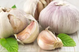 吃完大蒜口臭久久不能散去怎么办？图片