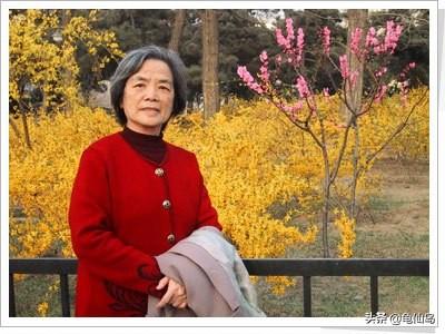 李雷成了老师，韩梅梅嫁给了韩刚，孩子取名可可和惜惜
