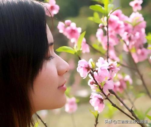 逸事是什么意思（解读崔护一诗定名）