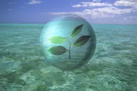 小说：在僵尸毁灭工程的世界中被万恶的尸群和飞机追的胡乱逃窜！图片