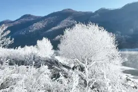 【三美】是仙境吧！宽甸出现绝美雾凇大片~图片