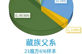 中国主要民族的DNA比例分析：从基因角度来看民族融合的情况图片