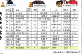 赌石大王9亿债务逾期！这位云南首富保险柜里的翡翠却多到吓死人图片