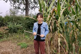 农村留守妇女存在的意义和不为人知的一面图片