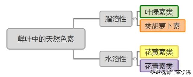 茶叶中到底有多少色素？喝下去会不会有事儿？为什么？