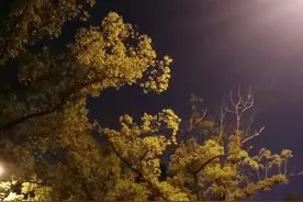 我不反对抽烟，只要不影响别人，抽就抽吧，那是他们的自由图片