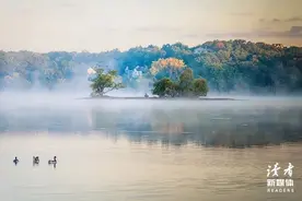 成年人深到骨子里的教养：慎图片