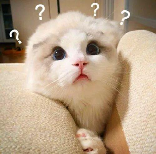 理科生才懂的梗，你get到几条？