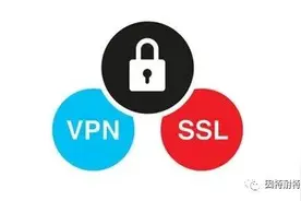 攻击SSL VPN（一）图片