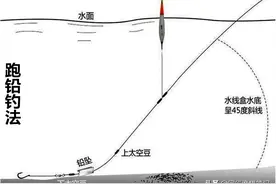 走水时鱼口难抓？浅析跑铅钓法的布窝技巧及灵敏度控制图片