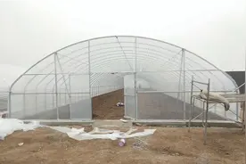 一个一亩地的大棚造价大约多少钱？图片