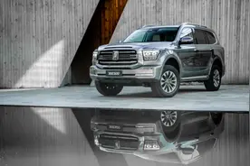 国产豪华的先行者 静态解析坦克500图片