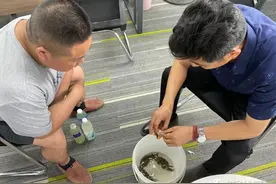 河蟹硫化氢中毒如何解决？--洪泽养殖户至陈春永老师处寻解决方案图片